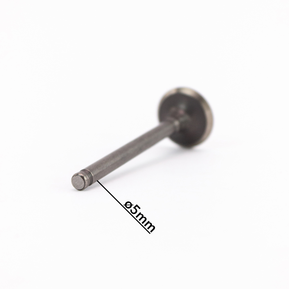 IMG_8221_ копия